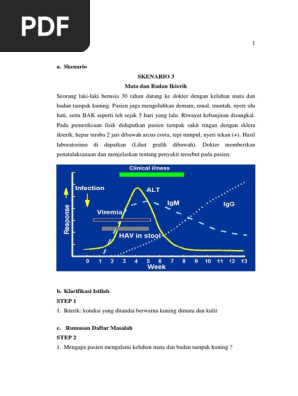 Isi Pbl Sk 3 Blok 4 2 Revisi 3 Pdf