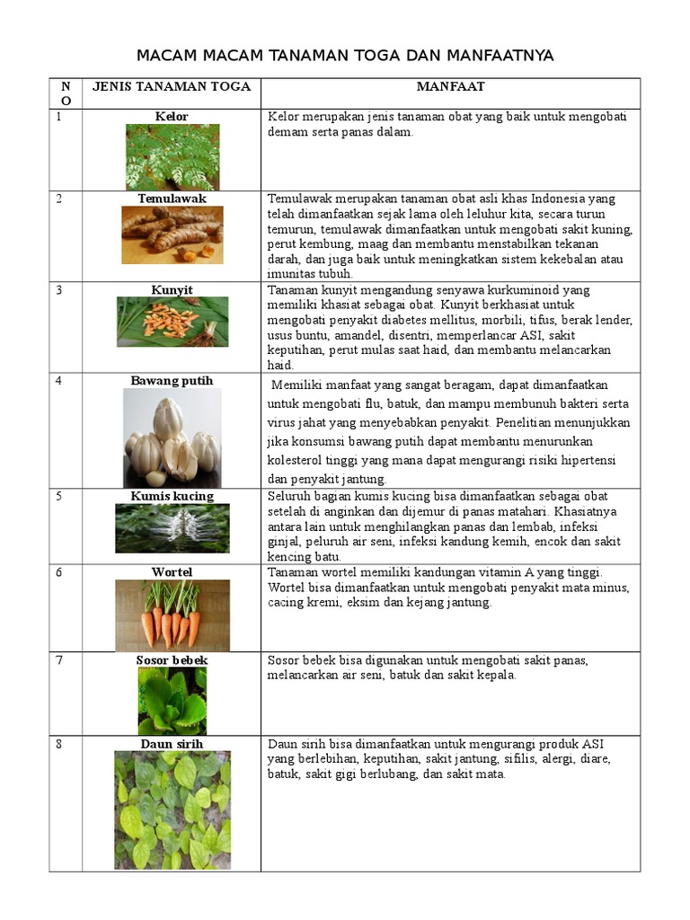 Macam Macam Tanaman Toga Dan Manfaatnya | PDF