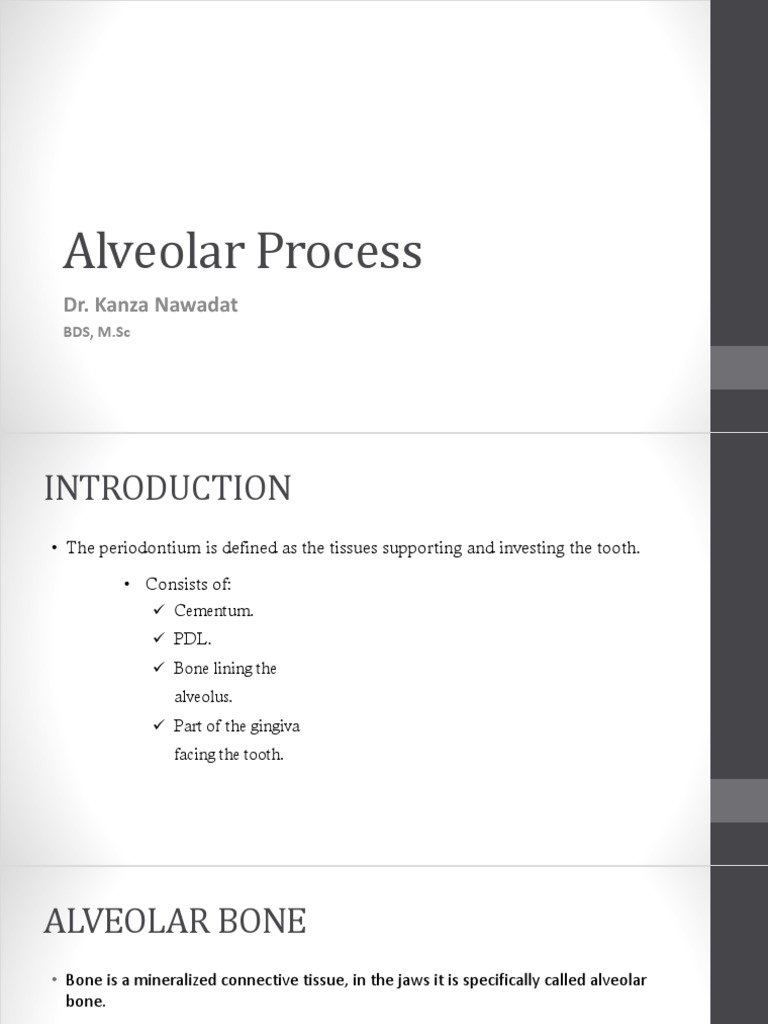 Understanding the Alveolar Process | PDF | Bone | Primate Anatomy