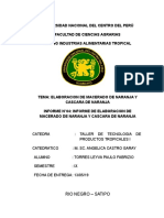 Informe de Macerado de Naranja 