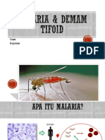 Malaria & Demam Tifoid
