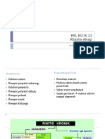 PBL BLOK 23 Rhinitis Alergi