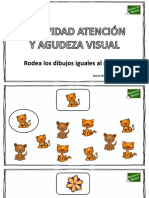 Atencion Modelo Igual PDF