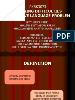 Expressive Language Problems