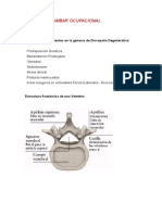 Discopatía Lumbar Ocupacional