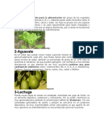 Plantas Alimenticias