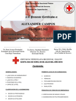 Manejo Del Paciente Quemado - (Alexander Campos)