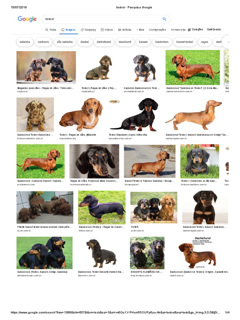 JHGJHGKBJBJKBJBK | PDF | Dachshund | Tipos de cães, image size:768x1024