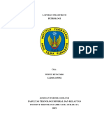 Laporan Praktikum Petrologi Resmi