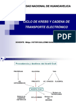 Ciclo de Krebs