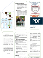 Trabajo de Ciencias Triptico