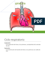 Mecanica Respiratoria