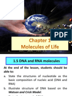 1.5 DNA and RNA Molecules-1