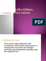 Flora Normal Pada Vagina
