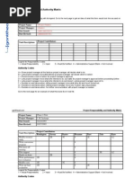 Project Responsibility and Authority Matrix