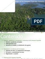 Charla #1 - Curso "Servicios Ambientales y Restauración de Bosques Tropicales" - Agosto 12-17, 2013 - Panamá