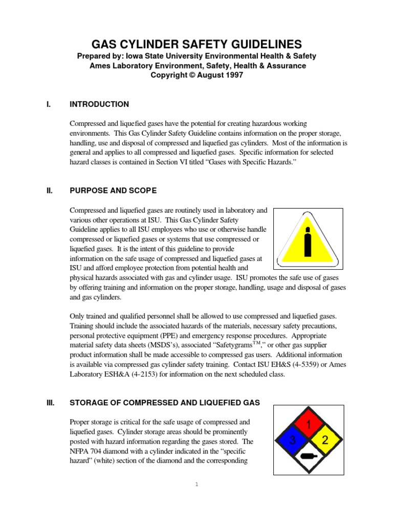 Medical Gases (Cylinder Safety Guidelines) Usa | PDF