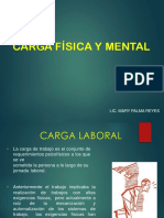 Carga Laboral