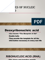 Nucleic Acid