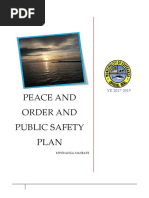 2017-2019 Pops Plan Final