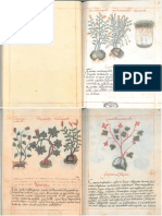Libellus_de_Medicinalibus_Indorum_Herbis.pdf