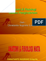 Anatomi & Fisiologi Indera