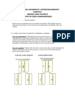 Taller Entrecruzamiento