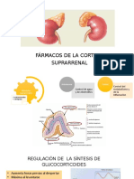 Farmacología Joselyn