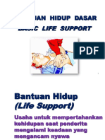 BHD 2010.ppt