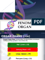 4 Fenomena Organ.pdf