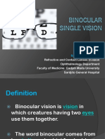 Binocular Vision