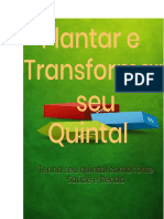 Plantar e Transformar