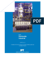 Combustão de gases e intercambialidade de combustíveis