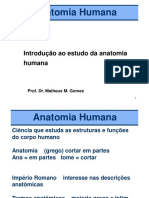 Introdução à anatomia humana