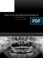 Practica de Anatomía en Panorámicas