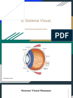 Sistema visual: partes y funcionamiento