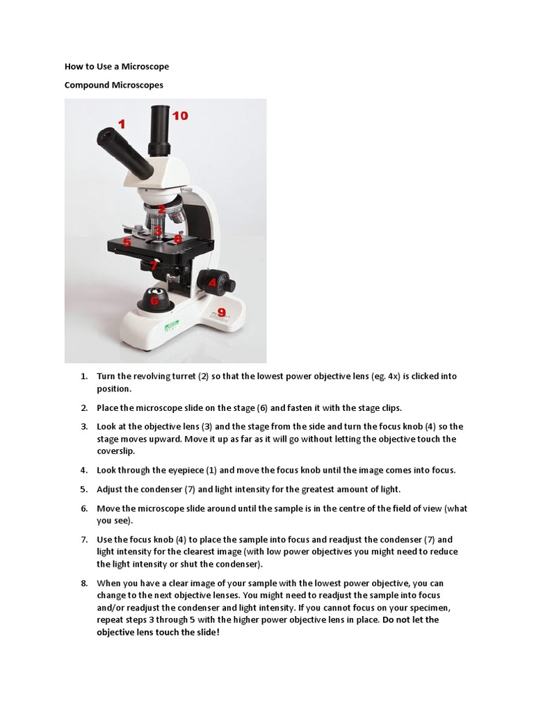 How To Use A Microscope Compound Microscopes | PDF