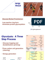 Glycolysis: Energy Generation Without An Oxygen Requirement