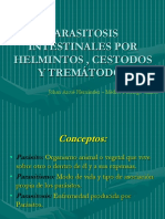 Parasitismo Intestinal Hemiltos y Trematodos