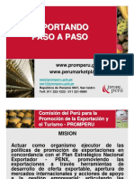 Exportando paso a paso PROMPERU.pdf