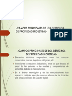 02 - Campos Principales de Los Derechos de Propiedad Industrial.