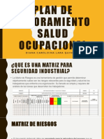 Plan de Mejoramiento Salud Ocupacional Diana