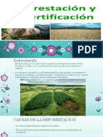 Deforestacion y Desertificacion