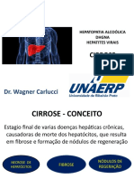 Doenças hepáticas: cirrose, esteatose e hepatites virais