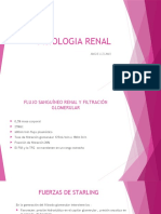 Fisiologia Renal