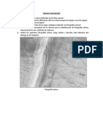 TAREA 2.pdf