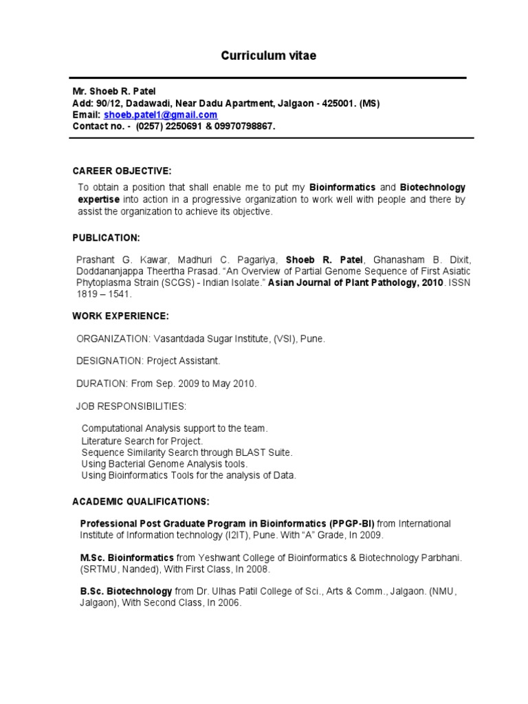 Curriculum vitae format image