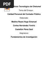 Ensayo Calidad Personal Del Contador Pub