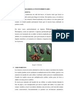 DESARROLLO POSTEMBRIONARIO.docx