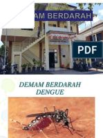 Penyuluhan-Dbd-1.ppt